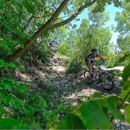 Casa Serena 말세진느