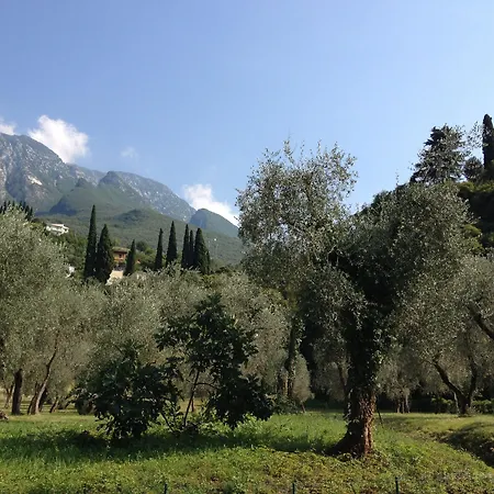 فندق Casa Serena